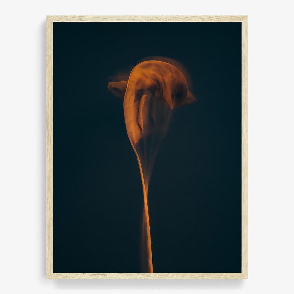 Photograph by Jan Prengel