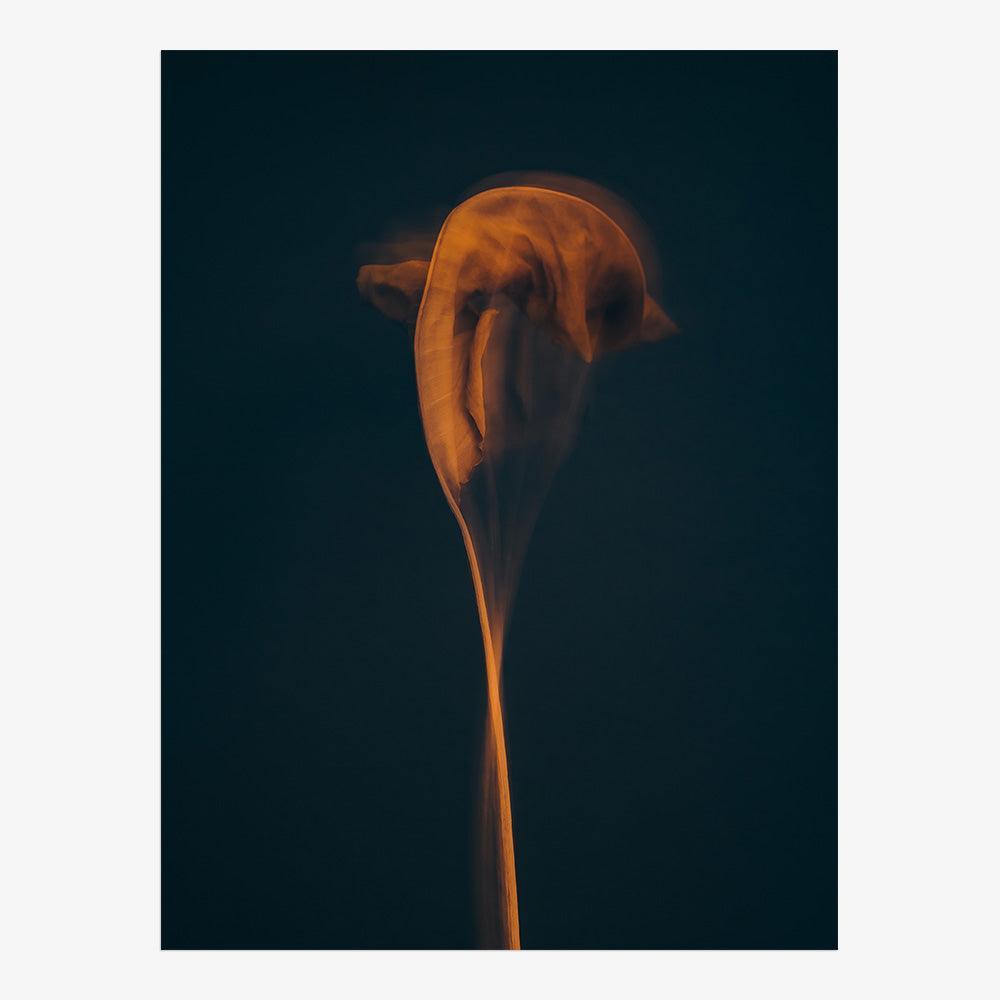 Photograph by Jan Prengel