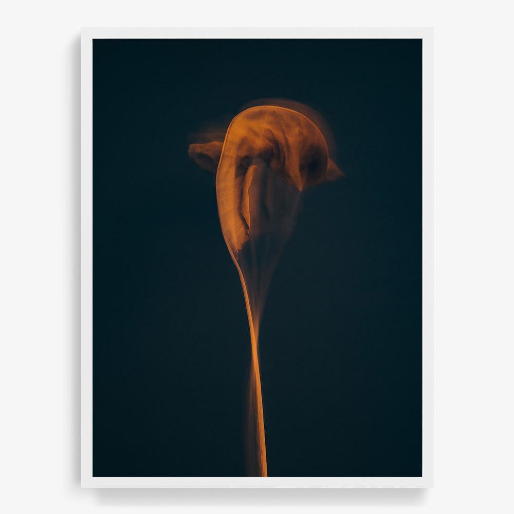 Photograph by Jan Prengel