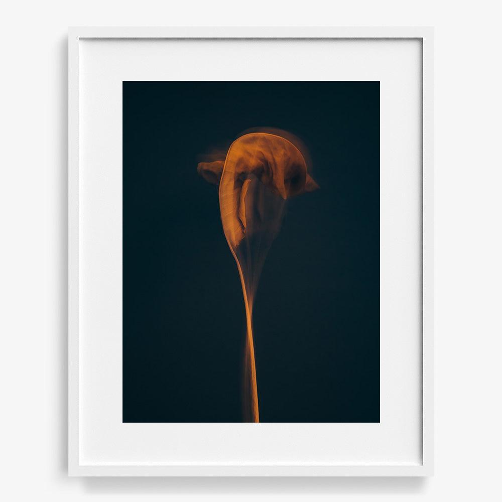 Photograph by Jan Prengel