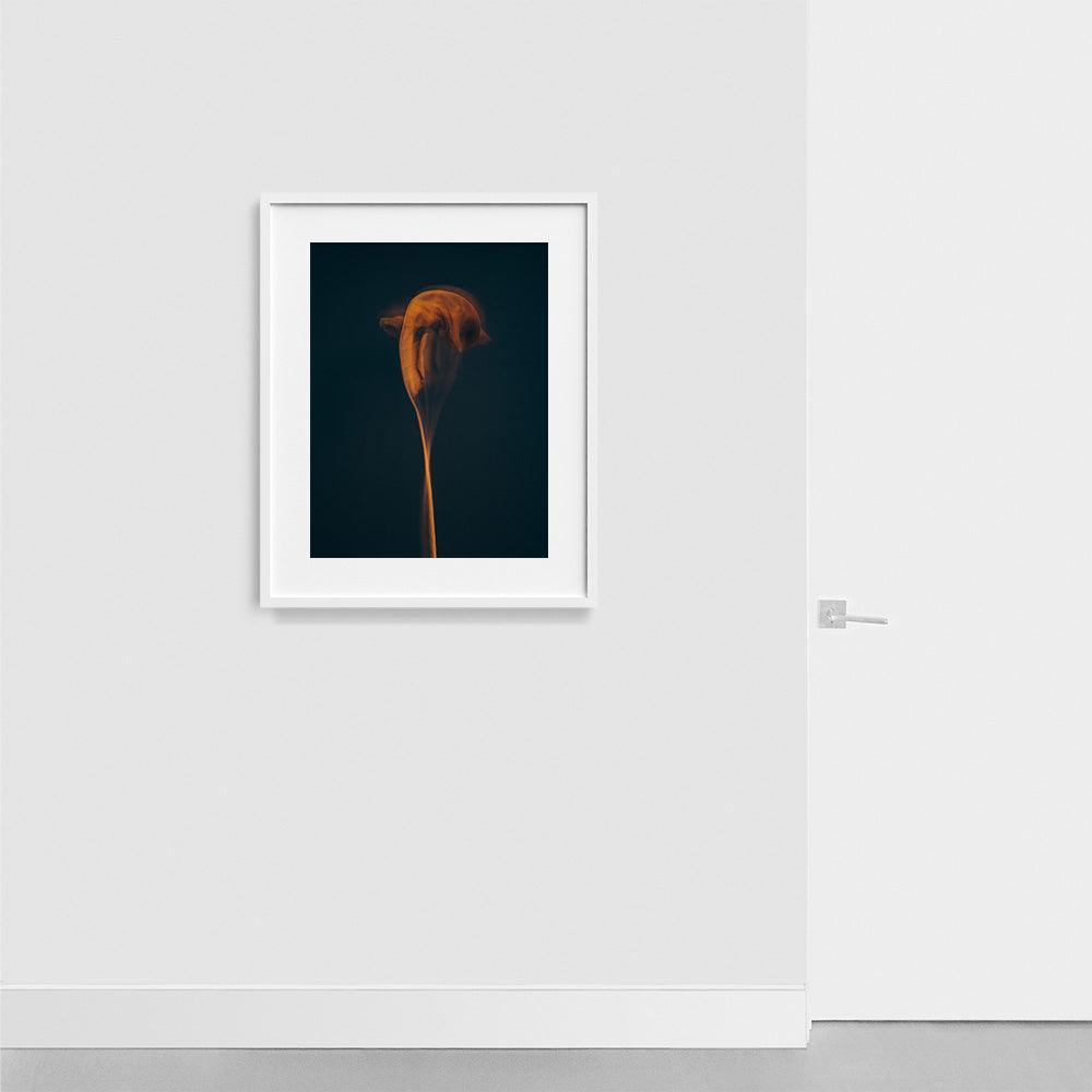 Photograph by Jan Prengel
