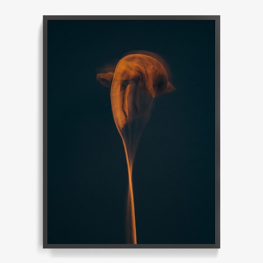 Photograph by Jan Prengel