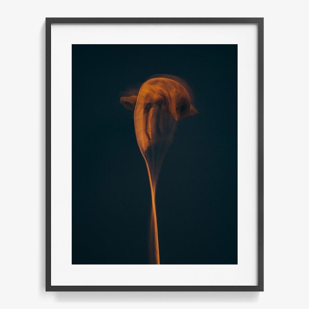 Photograph by Jan Prengel