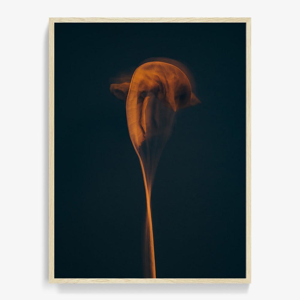 Photograph by Jan Prengel