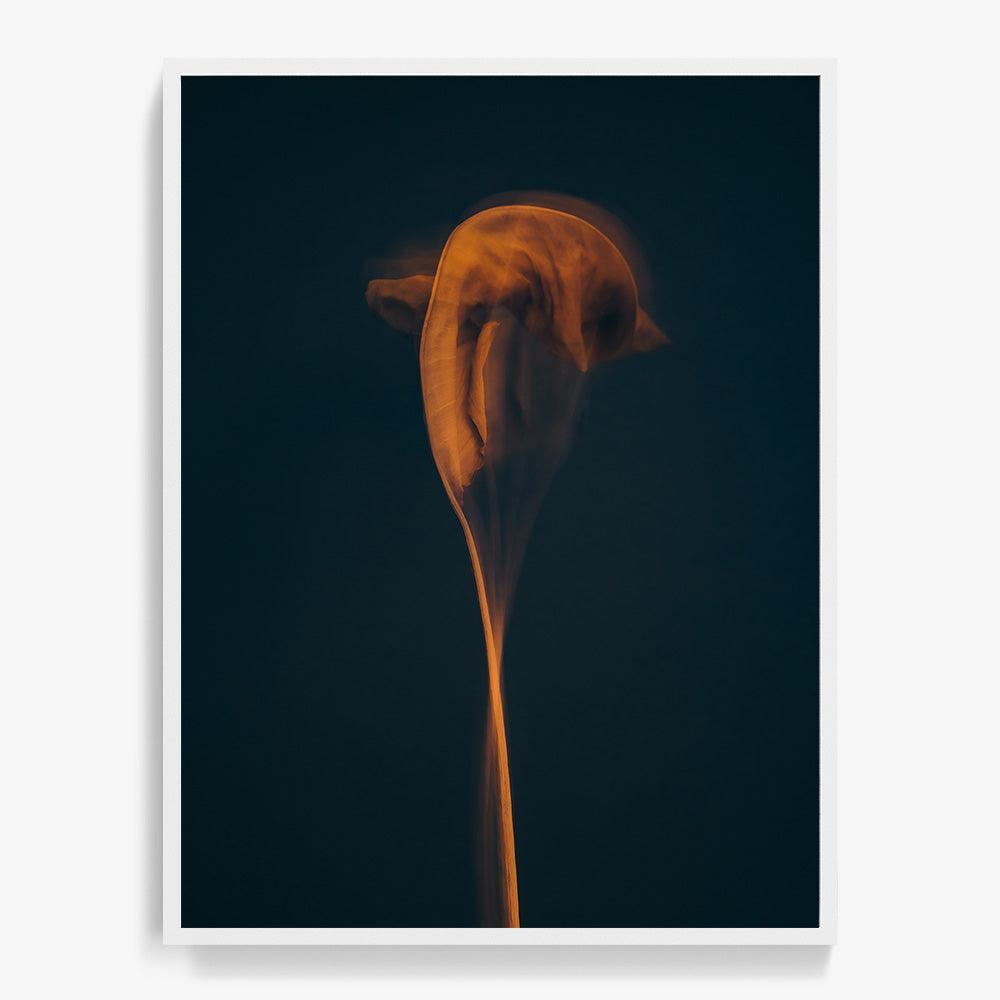 Photograph by Jan Prengel