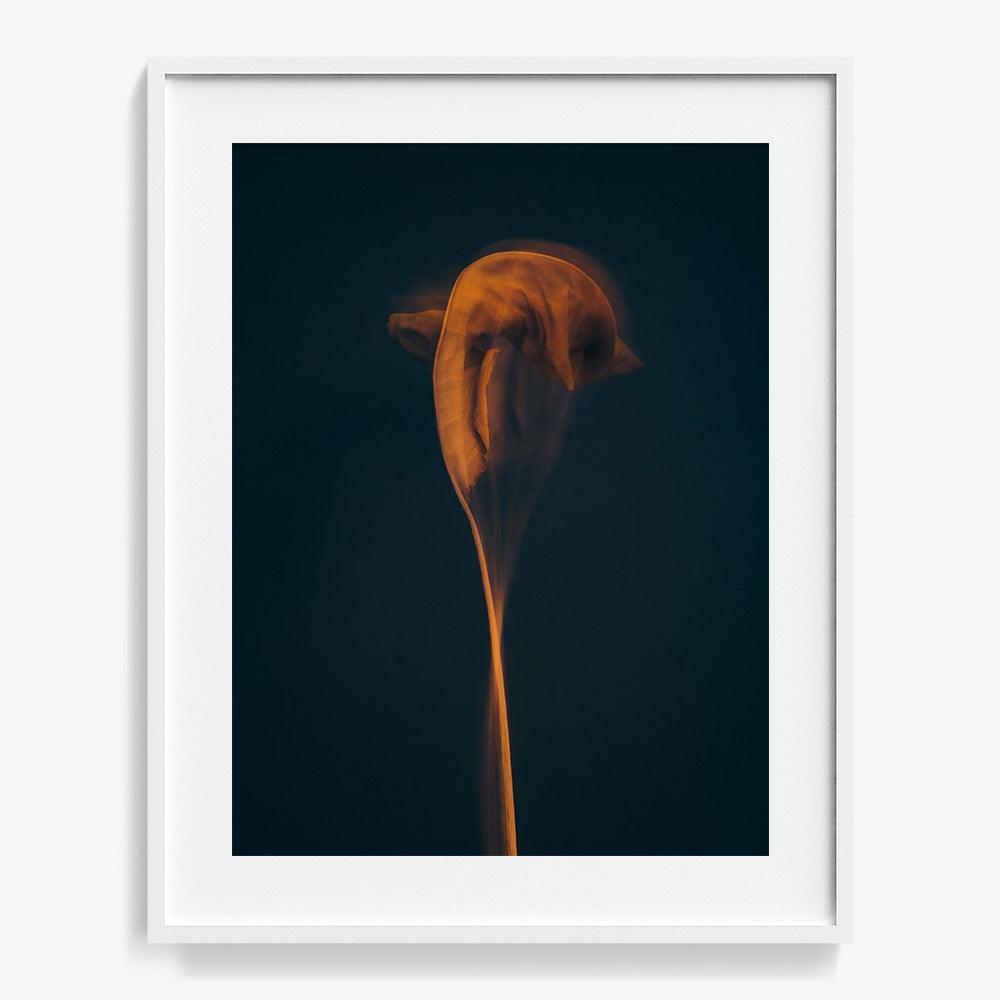 Photograph by Jan Prengel