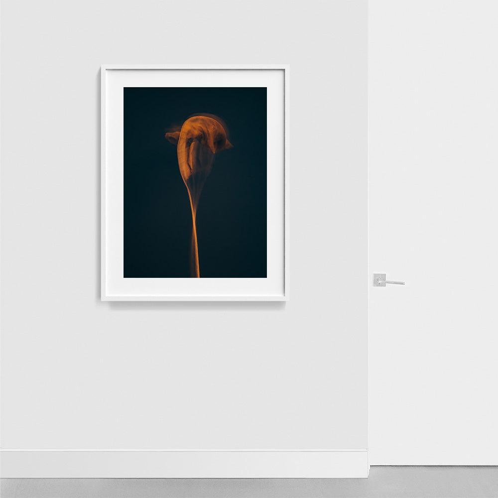 Photograph by Jan Prengel