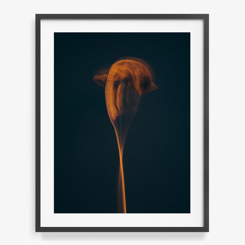 Photograph by Jan Prengel