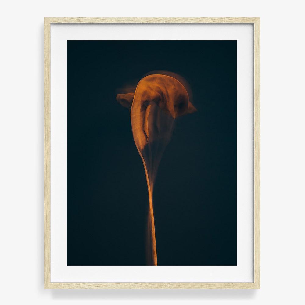 Photograph by Jan Prengel