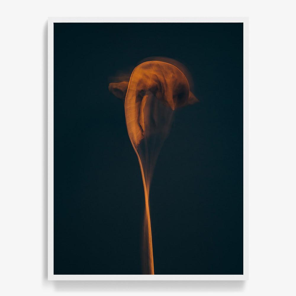Photograph by Jan Prengel