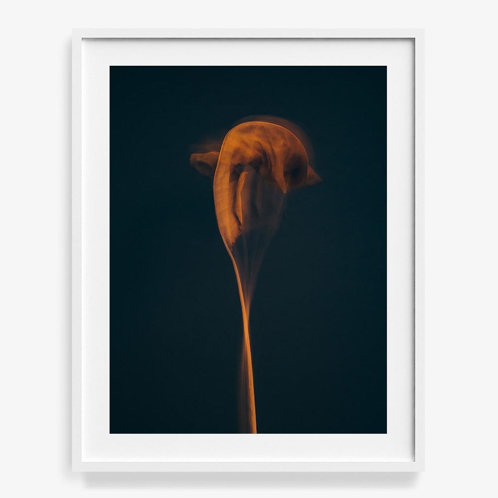 Photograph by Jan Prengel