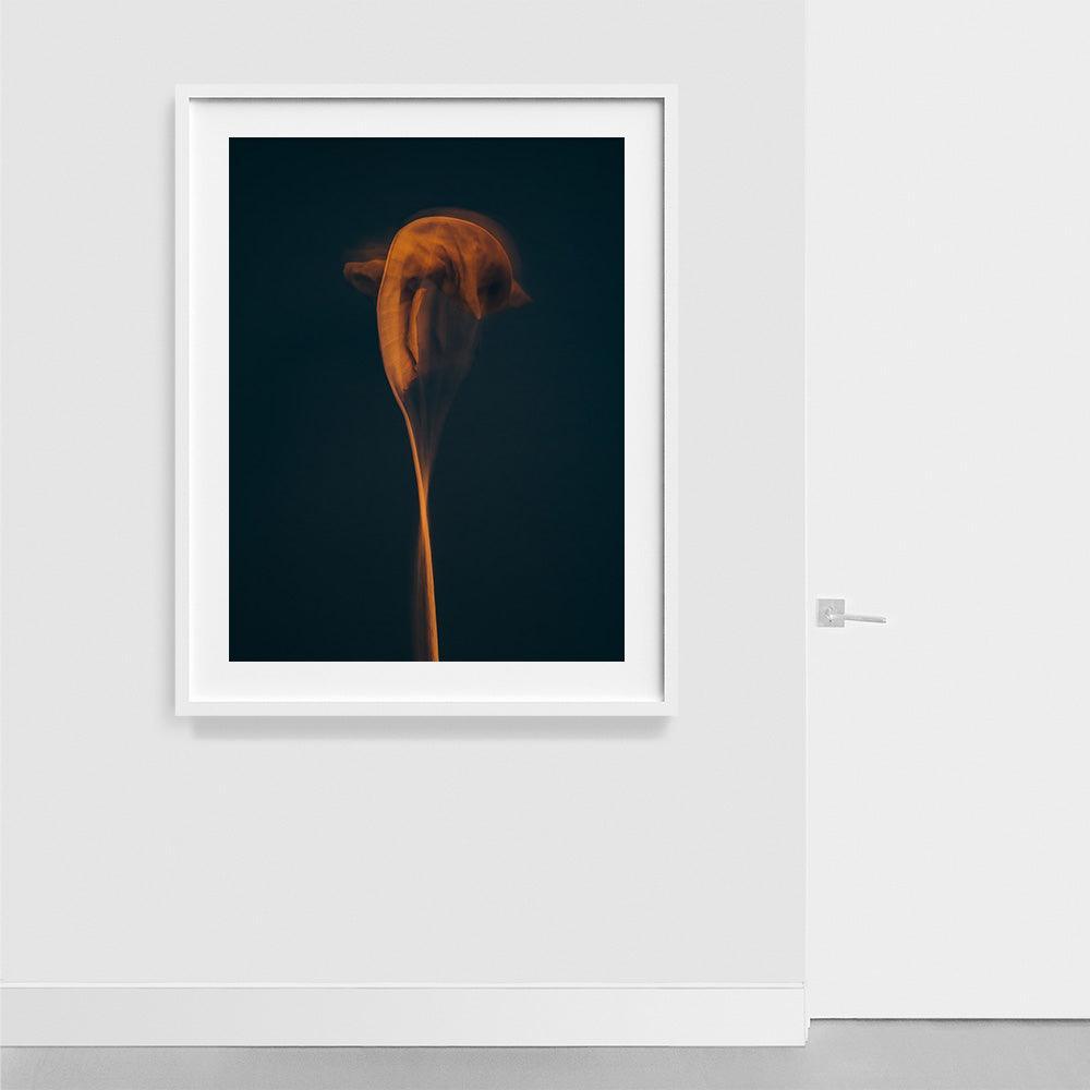 Photograph by Jan Prengel