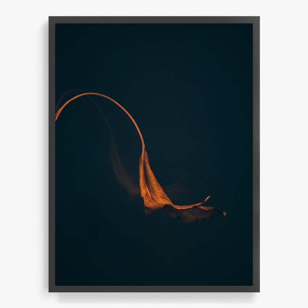 Photograph by Jan Prengel