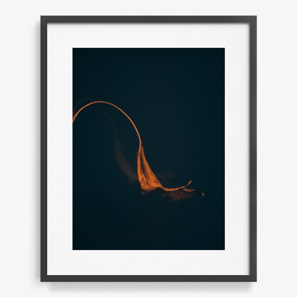 Photograph by Jan Prengel