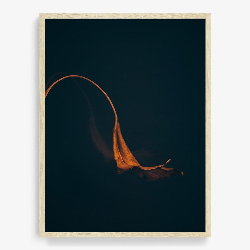 Photograph by Jan Prengel