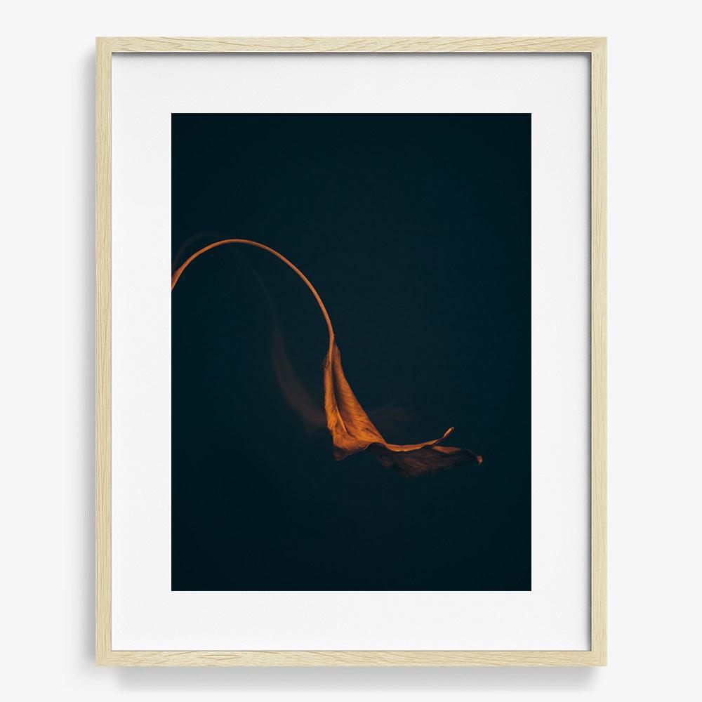 Photograph by Jan Prengel