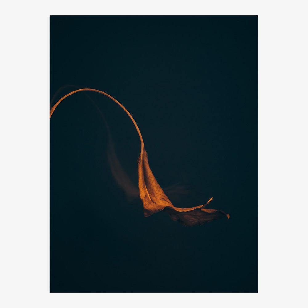 Photograph by Jan Prengel