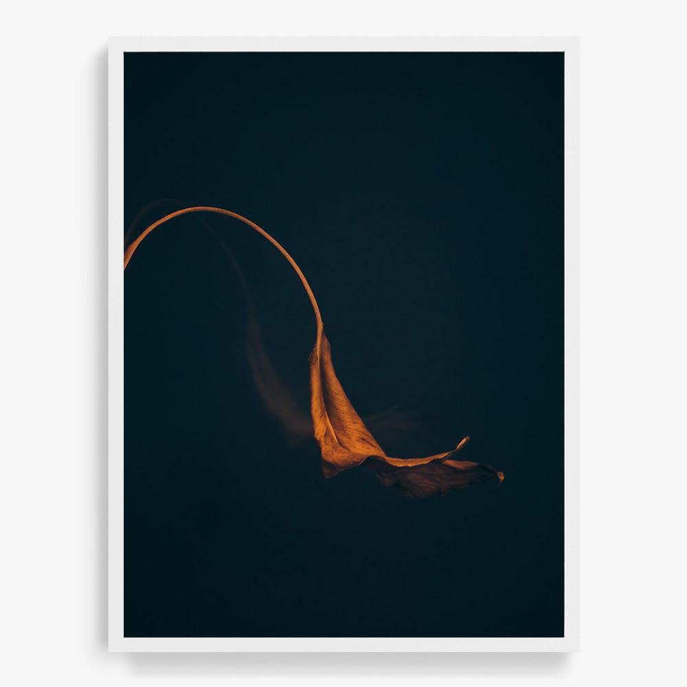 Photograph by Jan Prengel
