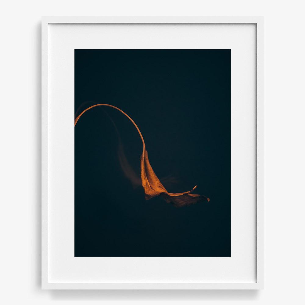 Photograph by Jan Prengel