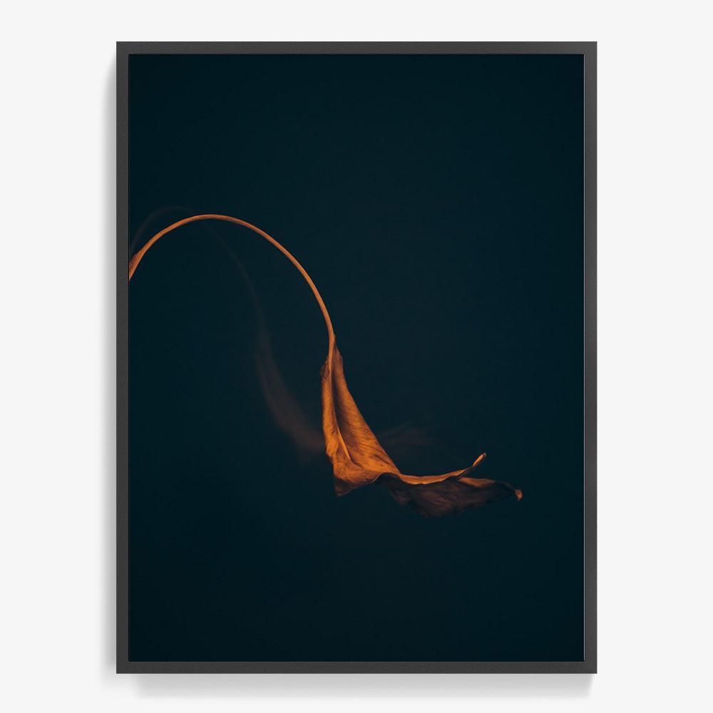 Photograph by Jan Prengel