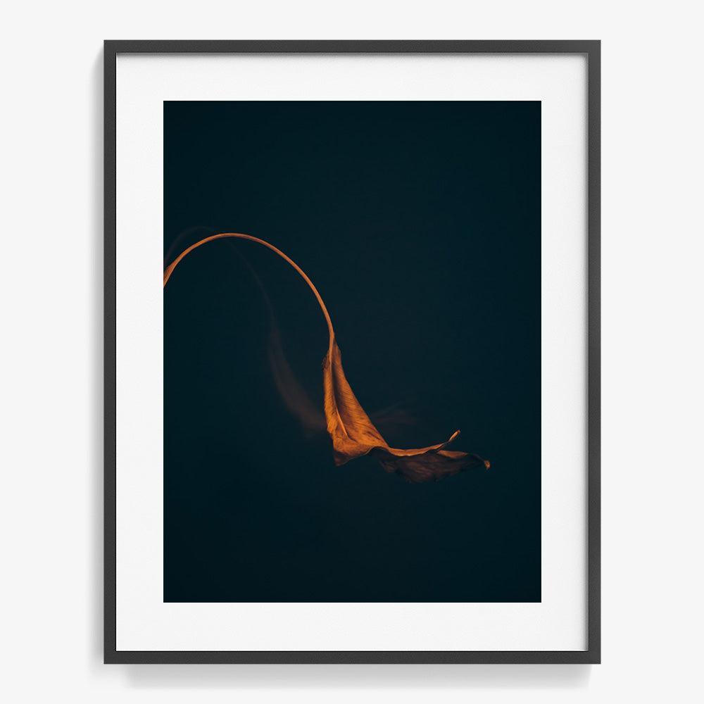 Photograph by Jan Prengel