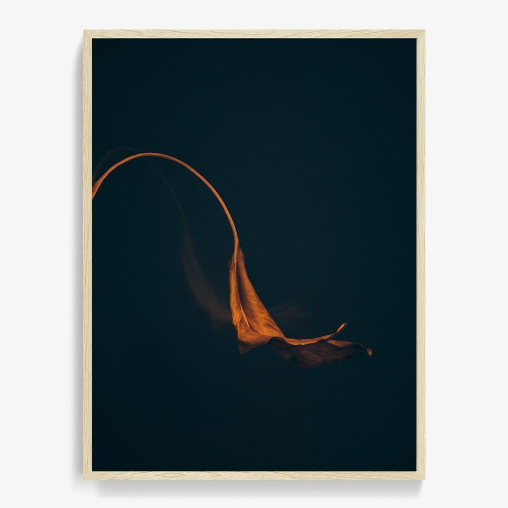 Photograph by Jan Prengel
