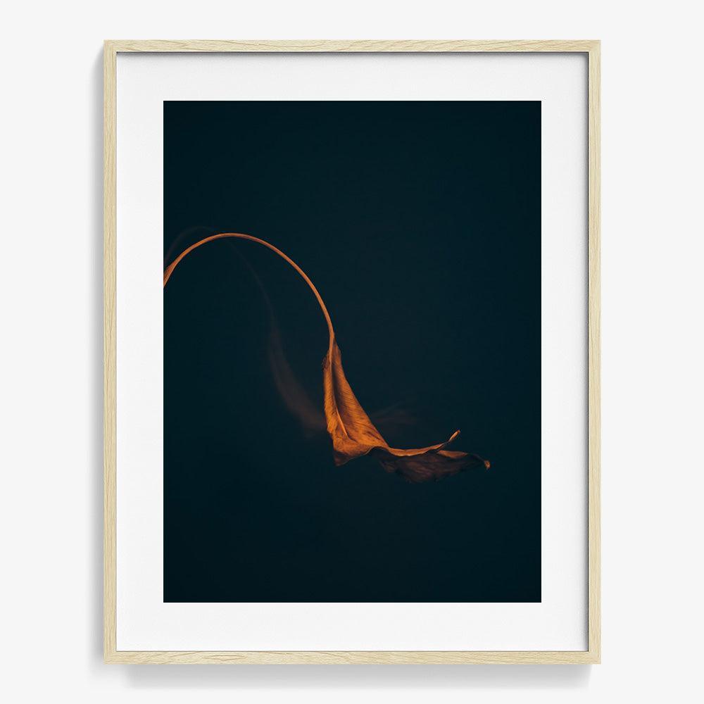 Photograph by Jan Prengel