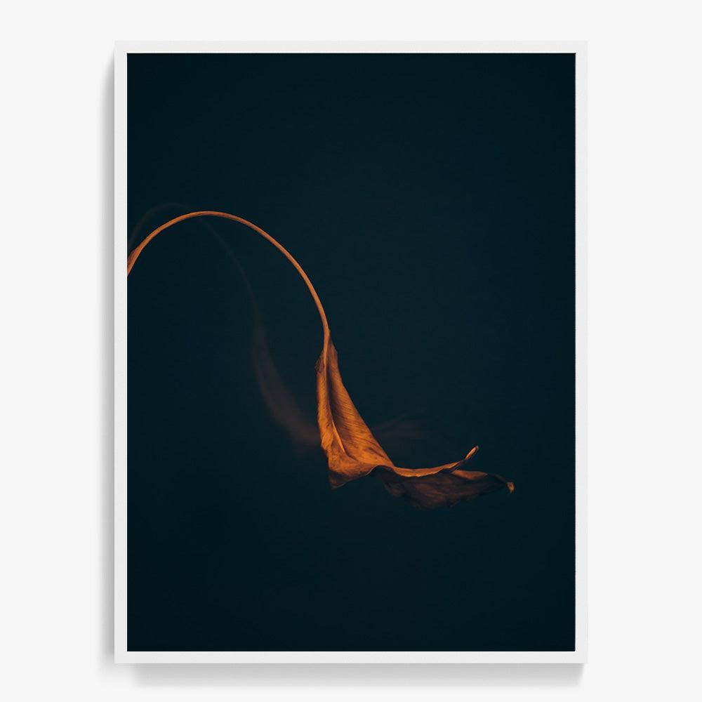 Photograph by Jan Prengel