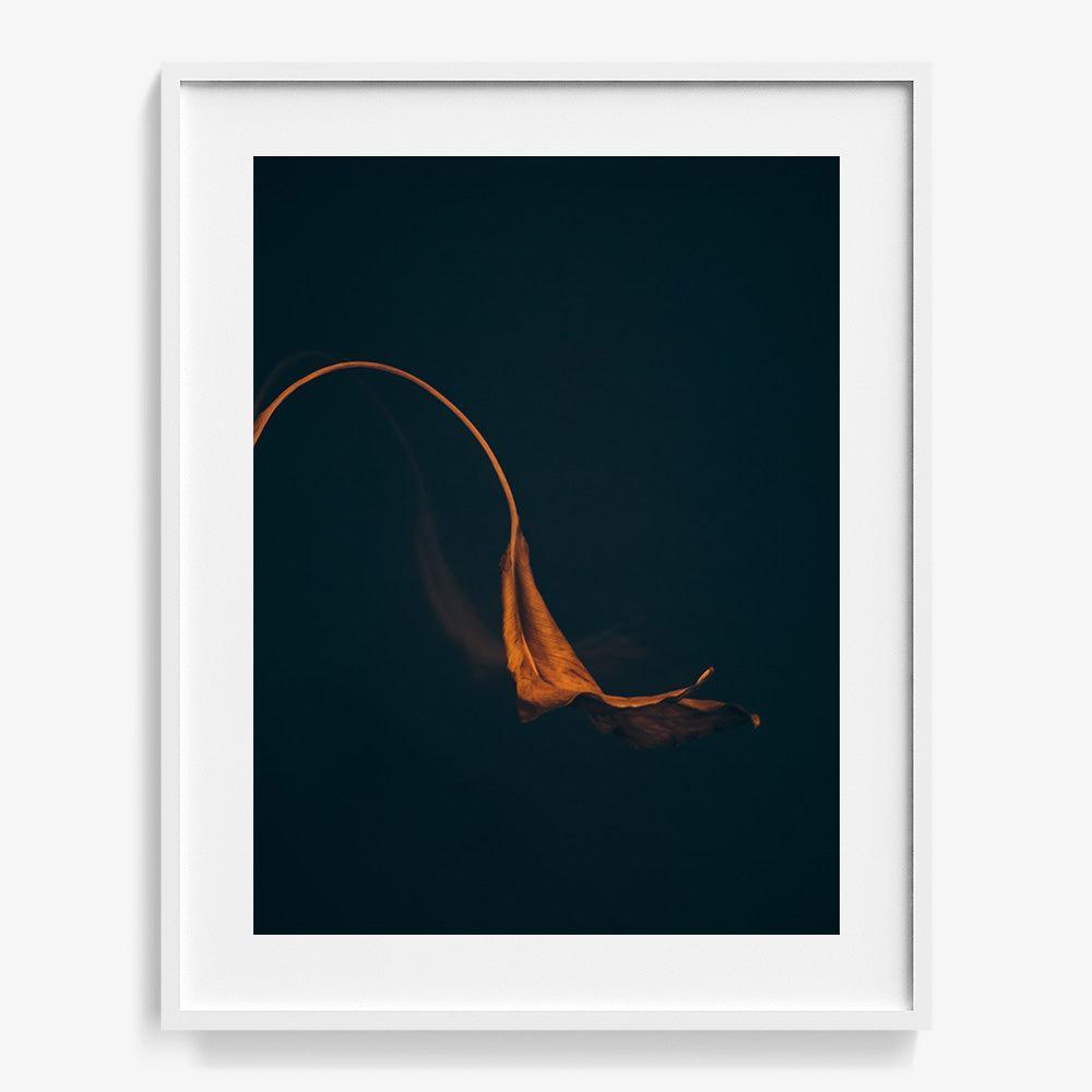 Photograph by Jan Prengel