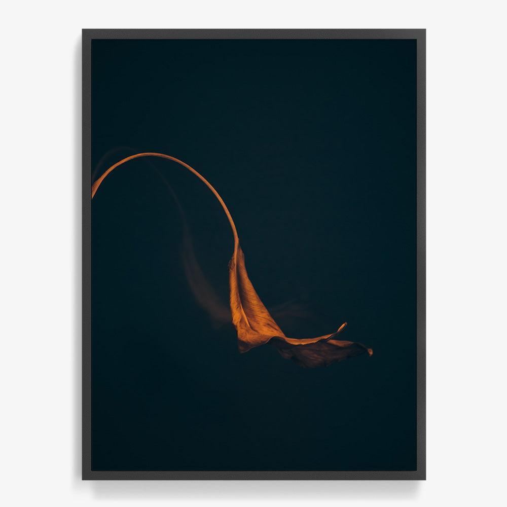 Photograph by Jan Prengel
