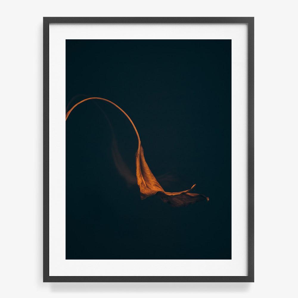 Photograph by Jan Prengel