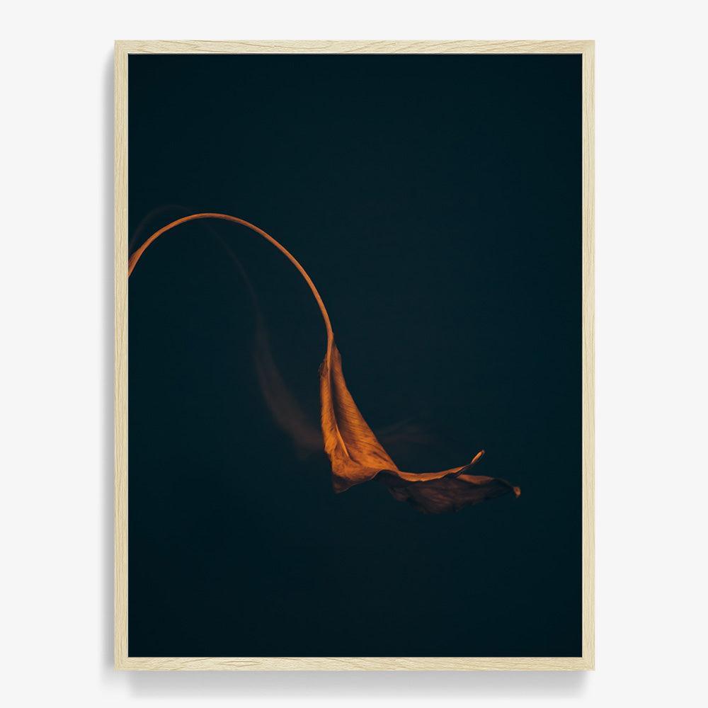 Photograph by Jan Prengel