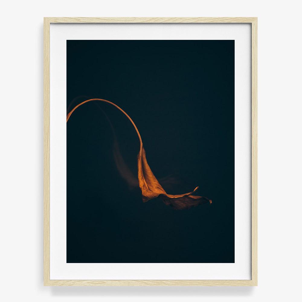 Photograph by Jan Prengel