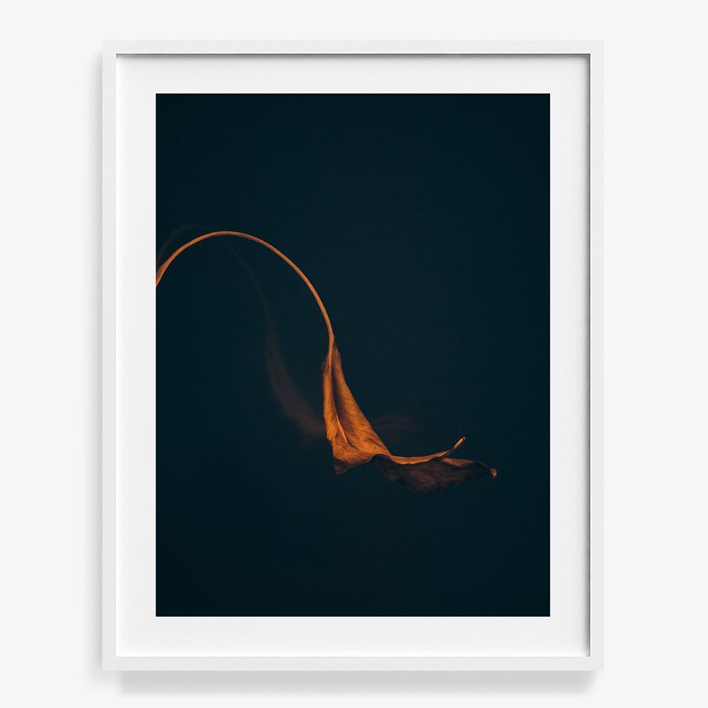Photograph by Jan Prengel