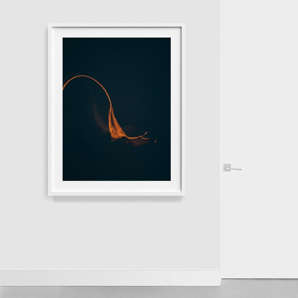 Photograph by Jan Prengel
