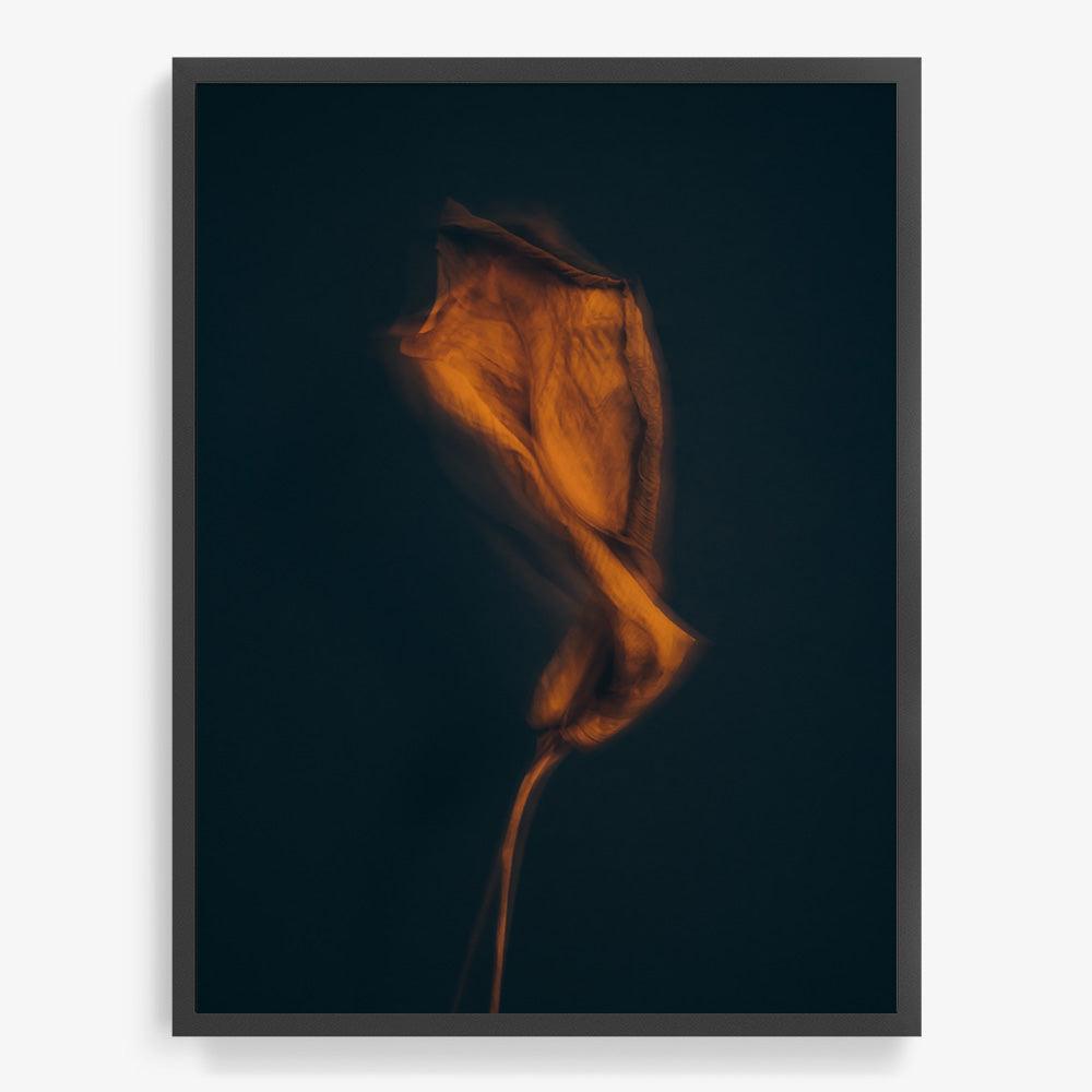 Photograph by Jan Prengel