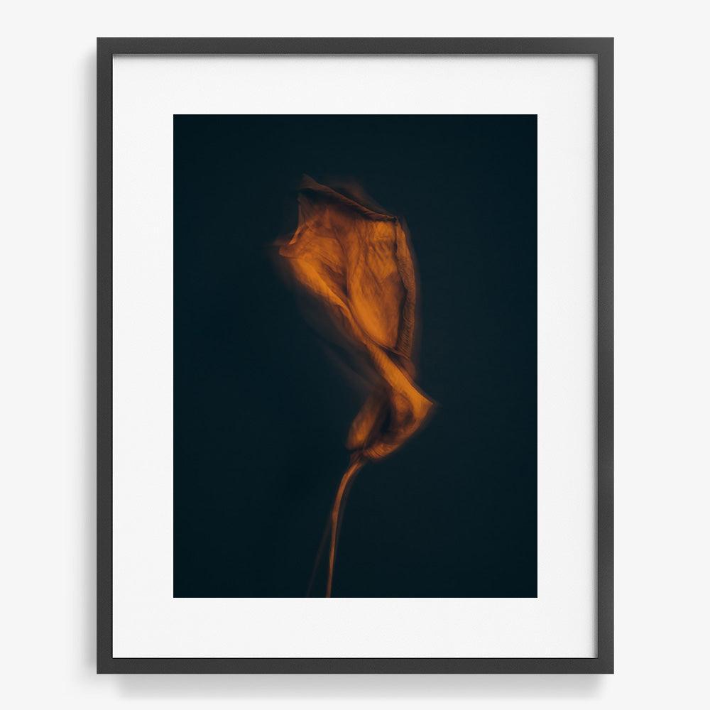 Photograph by Jan Prengel