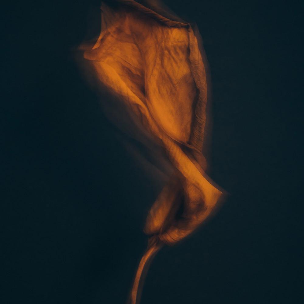 Photograph by Jan Prengel