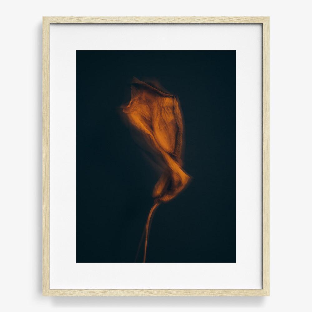 Photograph by Jan Prengel