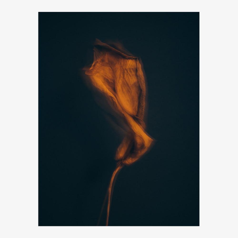Photograph by Jan Prengel
