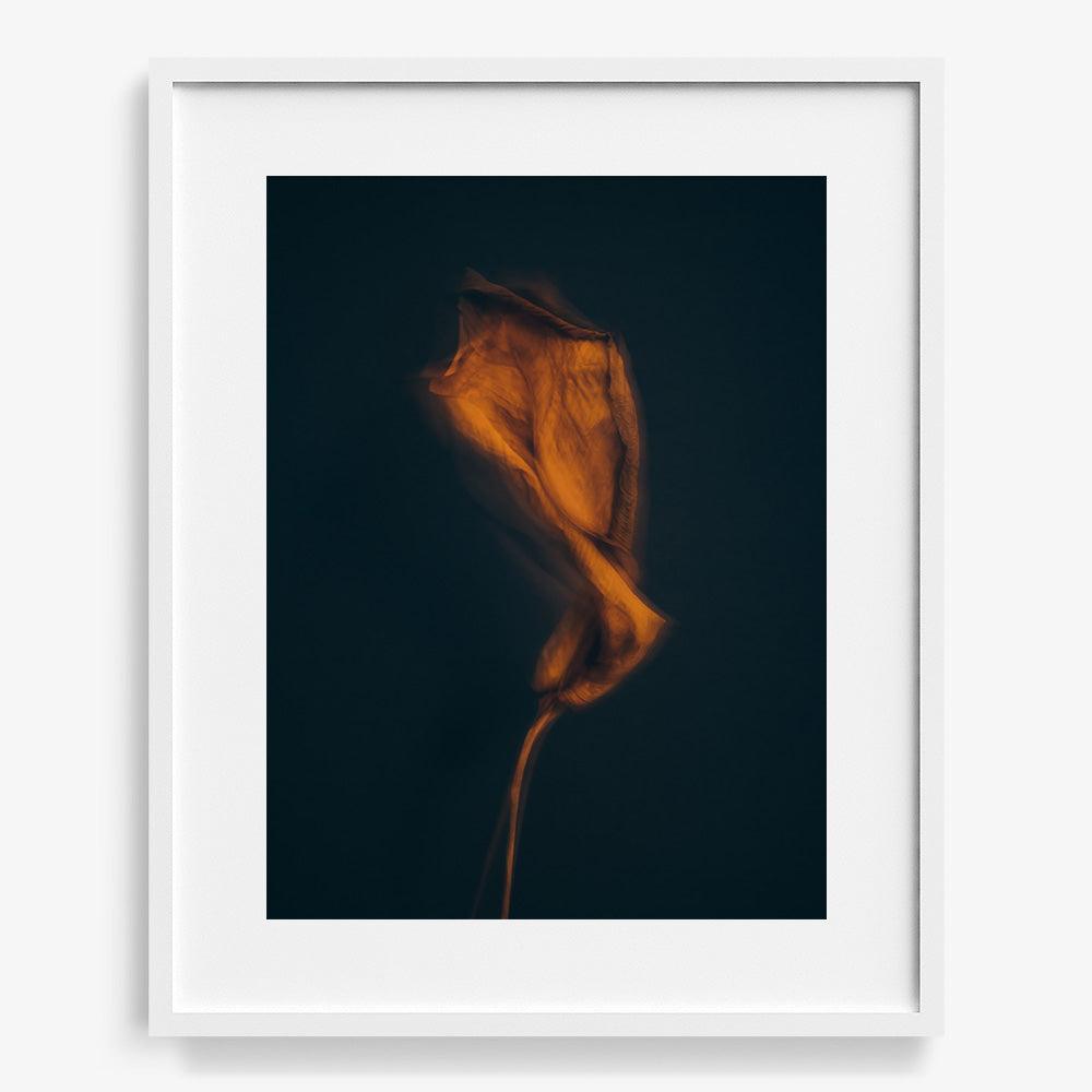 Photograph by Jan Prengel