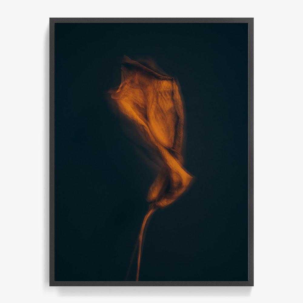 Photograph by Jan Prengel