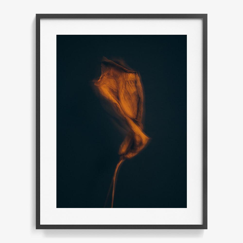 Photograph by Jan Prengel