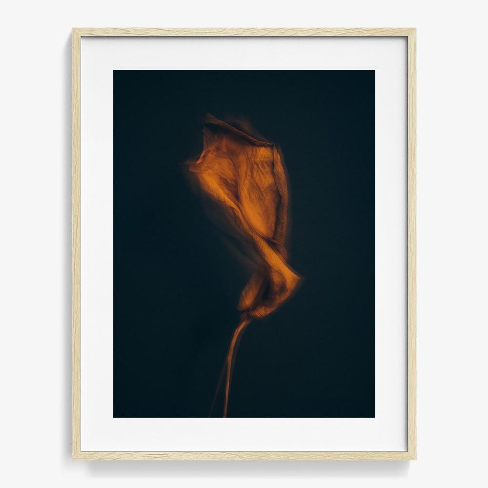 Photograph by Jan Prengel