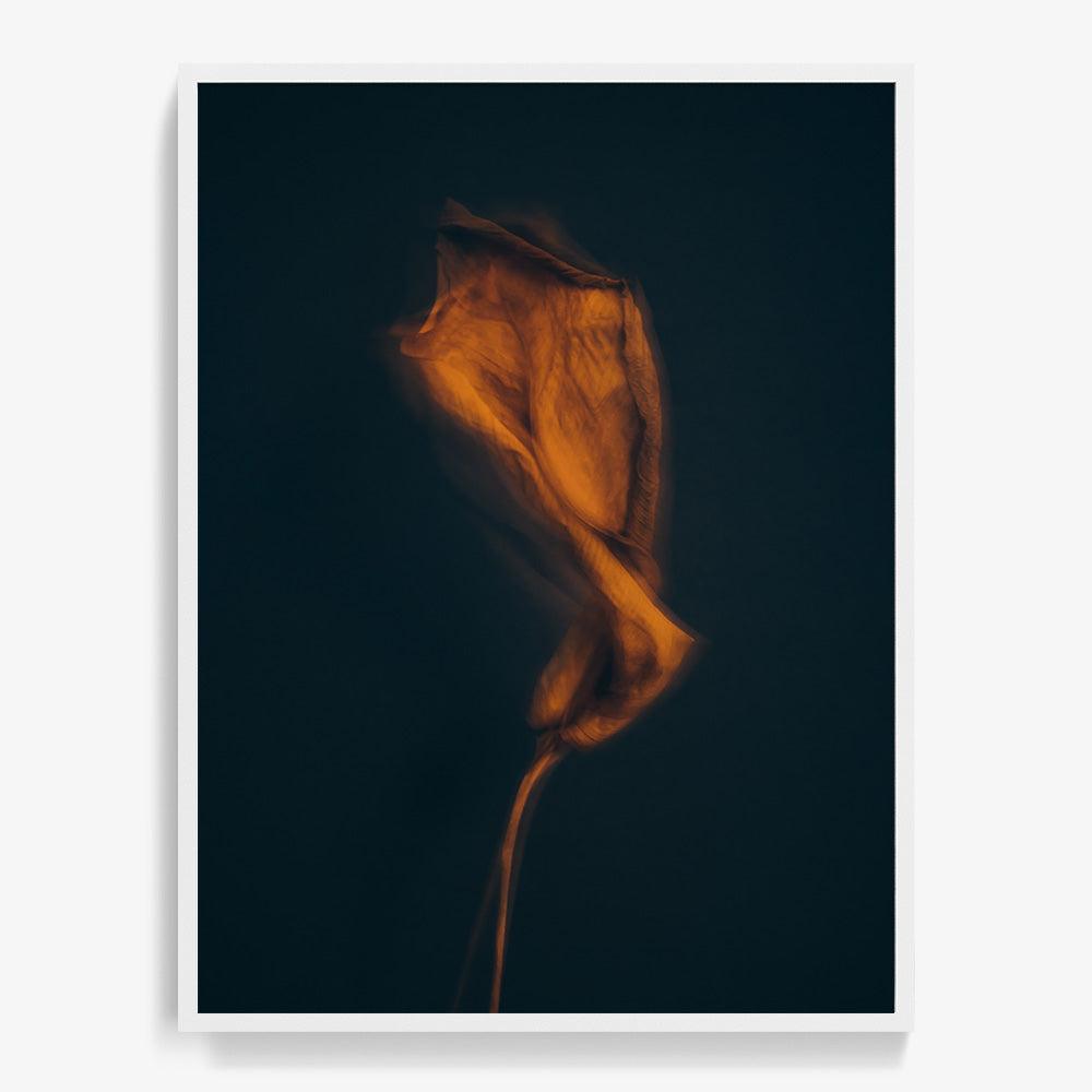 Photograph by Jan Prengel