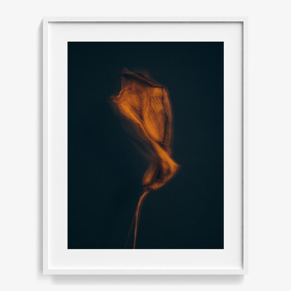 Photograph by Jan Prengel