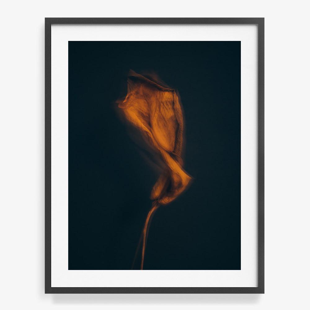 Photograph by Jan Prengel