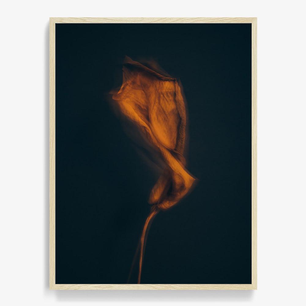 Photograph by Jan Prengel