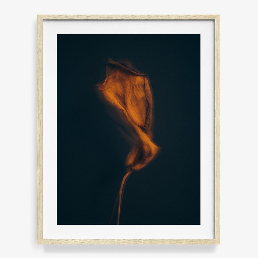Photograph by Jan Prengel