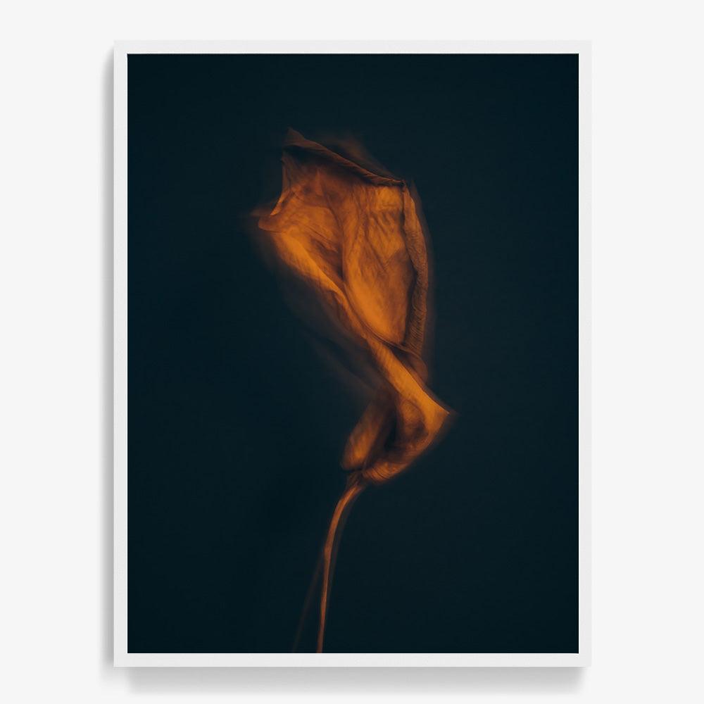 Photograph by Jan Prengel